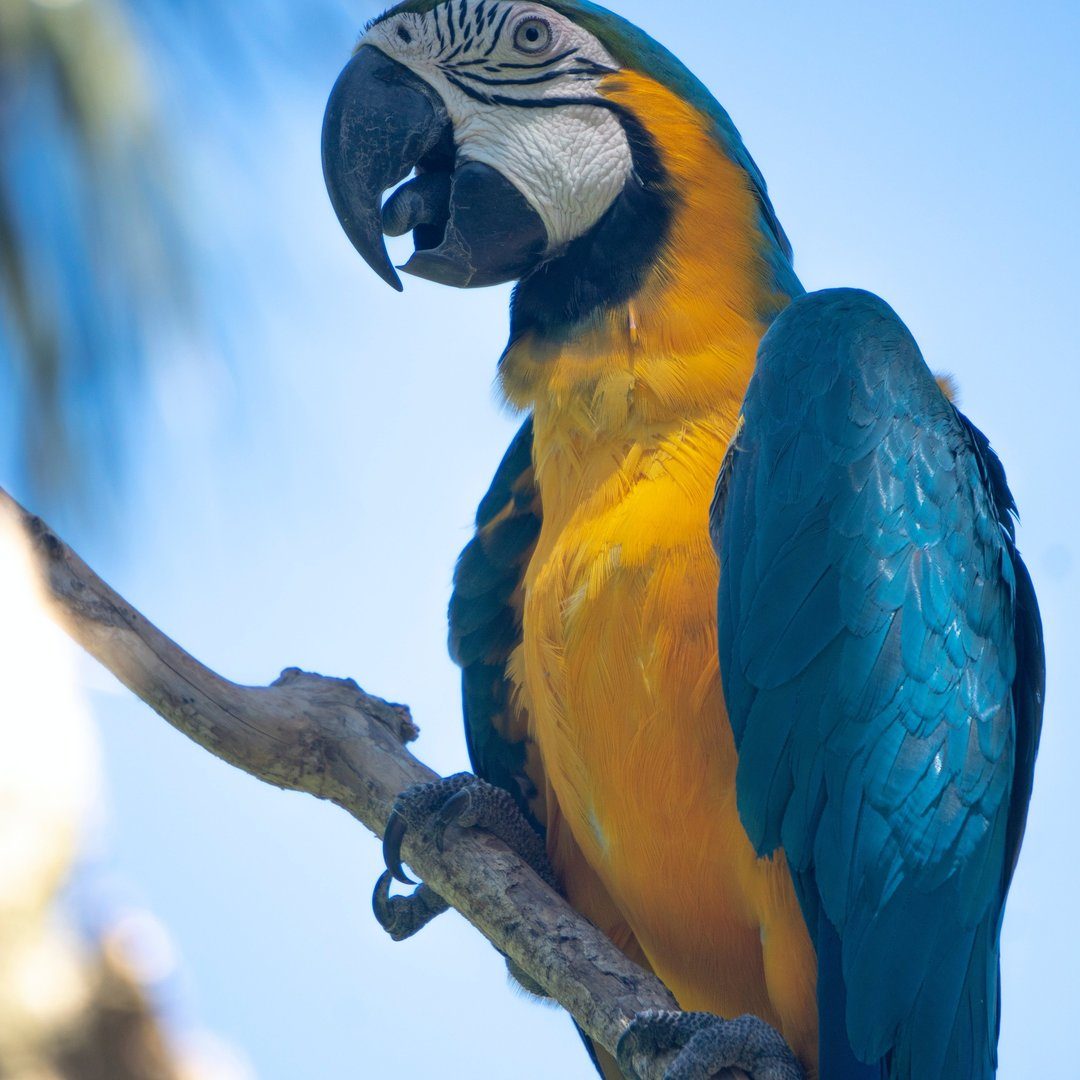 Gainesville GA homeowner leaving a positive review after selling their property fast to POH Group LLC, purchased AS-IS with no repairs in just 14 days.