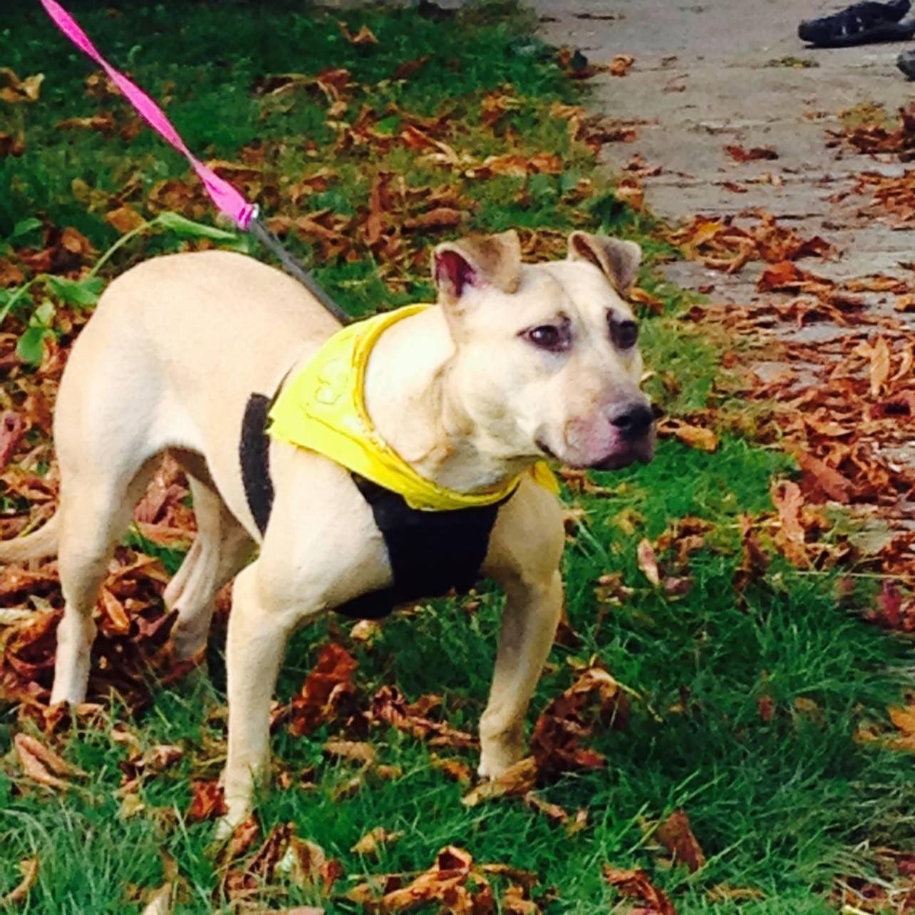 Homeowner in Carl GA needed to sell fast and sold their house AS-IS for cash to POH Group, a trusted Barrow County home buyer. No repairs, no realtor fees—just a quick, hassle-free sale. POH Group buys houses in Carl GA and across Barrow County, offering fast cash offers and smooth closings. #SellMyHouseFastCarlGA #CarlGACashBuyer #WeBuyHousesBarrowCounty