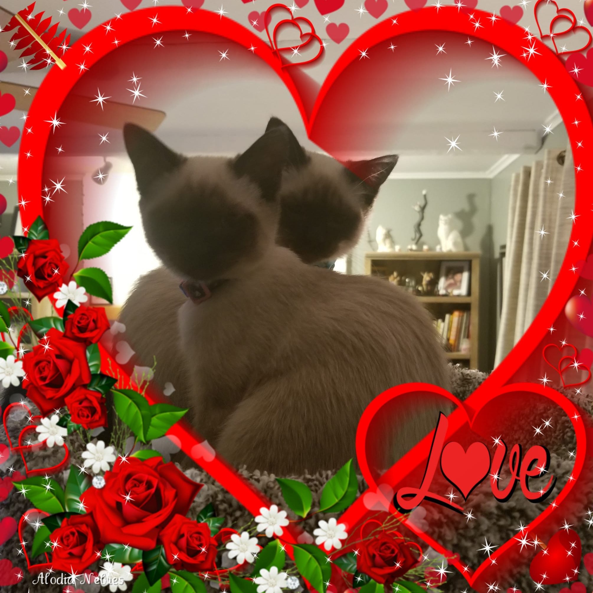 Homeowner in Statham GA sold his property to POH Group due to tenant issues, securing a fast, hassle-free cash sale. POH Group buys any type of property, in any condition, anywhere in Statham and Barrow County—even with problem tenants. The fastest way to sell your home! #SellMyHouseFastStathamGA #StathamGACashBuyer #BarrowCountyHomeBuyer